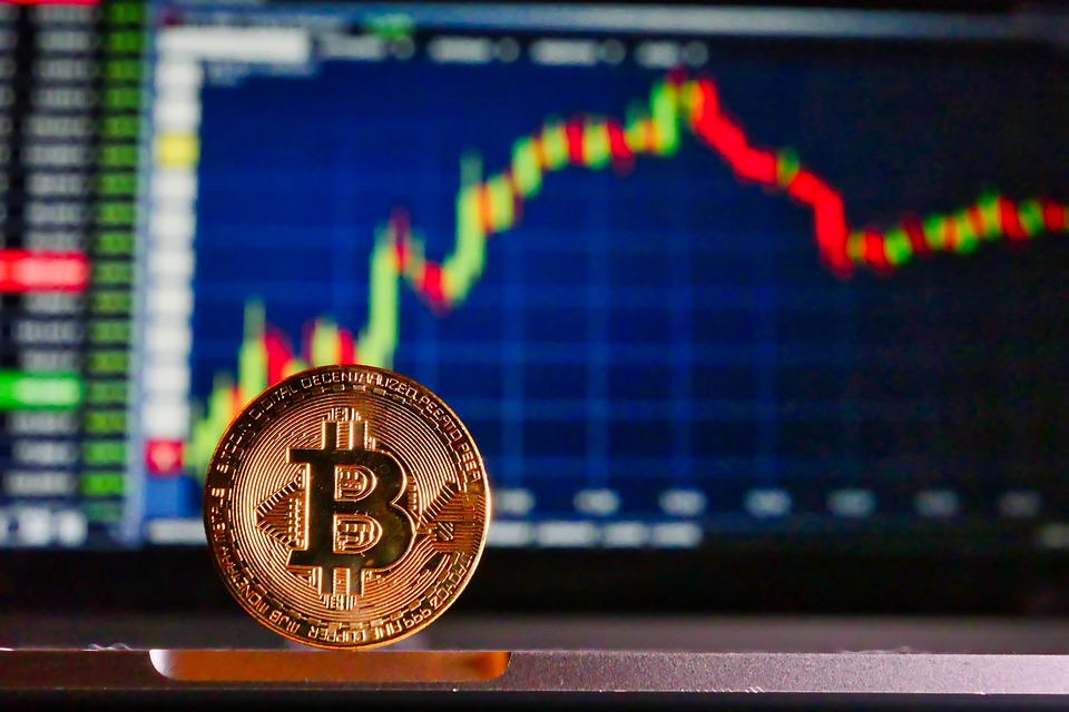 Investors React to Fluctuating BTC ETF Price, Embracing Digital Currency as Alternative Asset